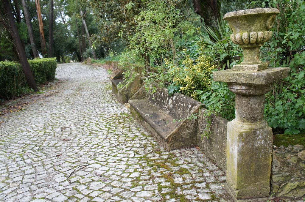Готель Quinta Do Convento Vila Verde dos Francos Екстер'єр фото