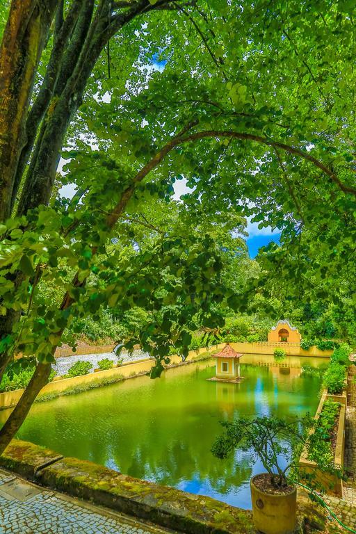 Готель Quinta Do Convento Vila Verde dos Francos Екстер'єр фото